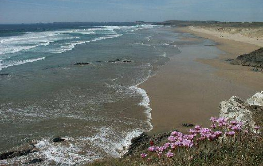 Location de vacances - Studio à Crozon