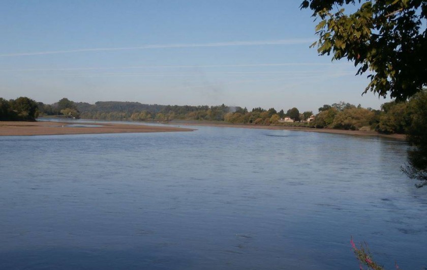 Location de vacances - Gîte à Vignonet - Dordogne