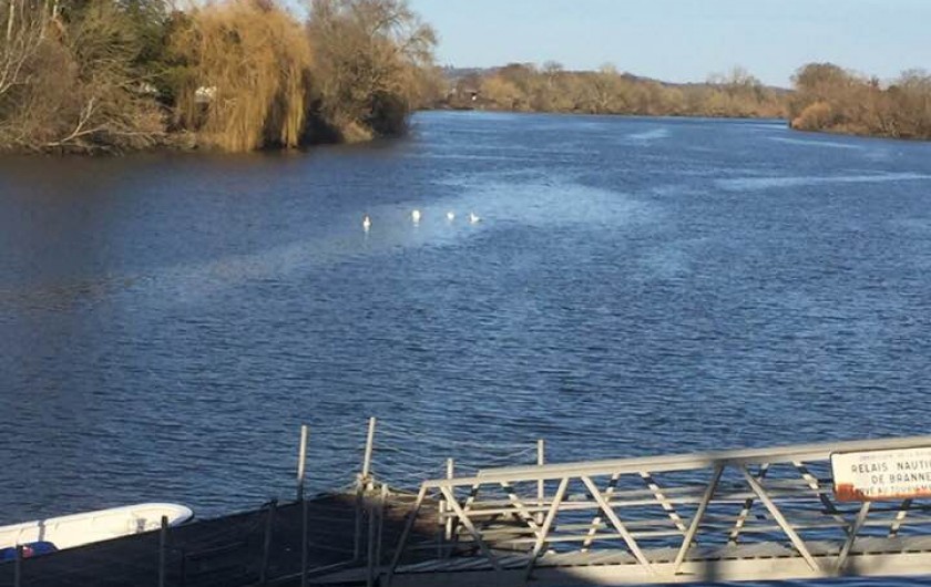 Location de vacances - Gîte à Vignonet