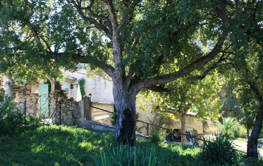 Location de vacances - Mas à Sainte-Maxime - le jardin