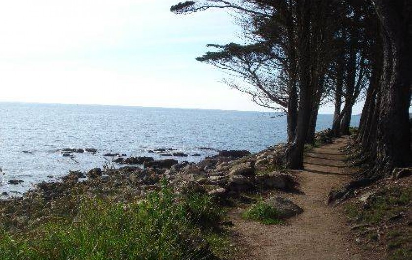 Location de vacances - Villa à Trédrez-Locquémeau