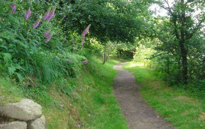 Location de vacances - Villa à Trédrez-Locquémeau