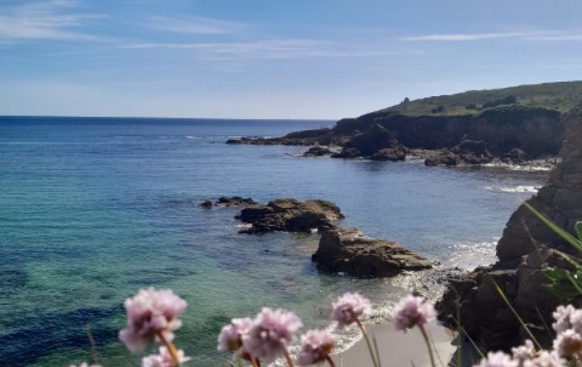 Location de vacances - Maison - Villa à Plozévet