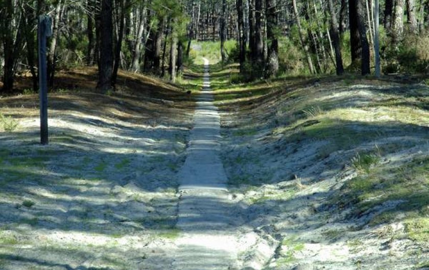 Location de vacances - Maison - Villa à Hourtin - Cottages Hourtin*** piste cyclable