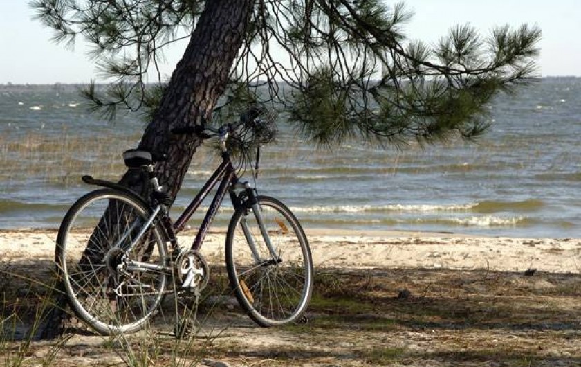 Location de vacances - Maison - Villa à Hourtin - Cottages Hourtin*** Lac d'Hourtin