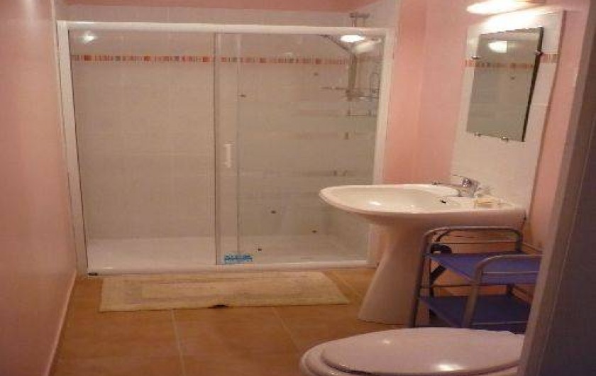 Location de vacances - Gîte à Milhars