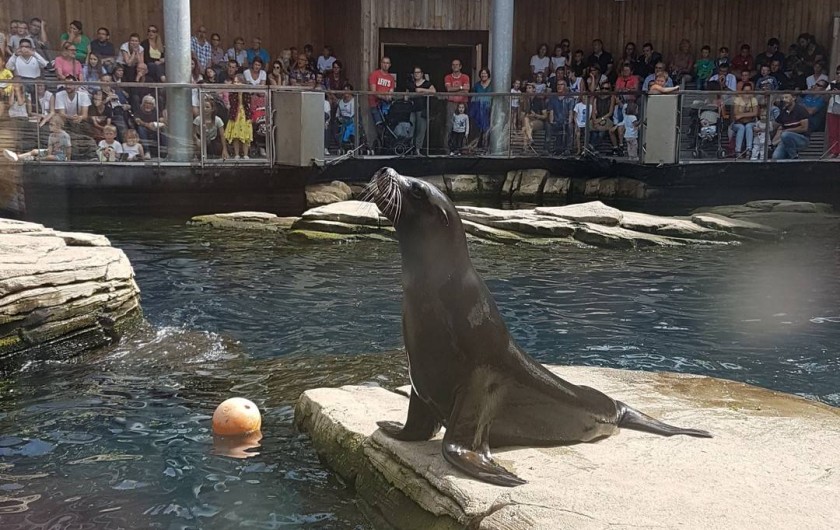 Location de vacances - Appartement à Wimereux - nausica a boulogne