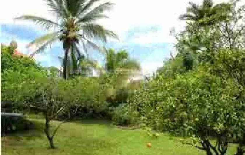 Location de vacances - Appartement à Fort-de-France