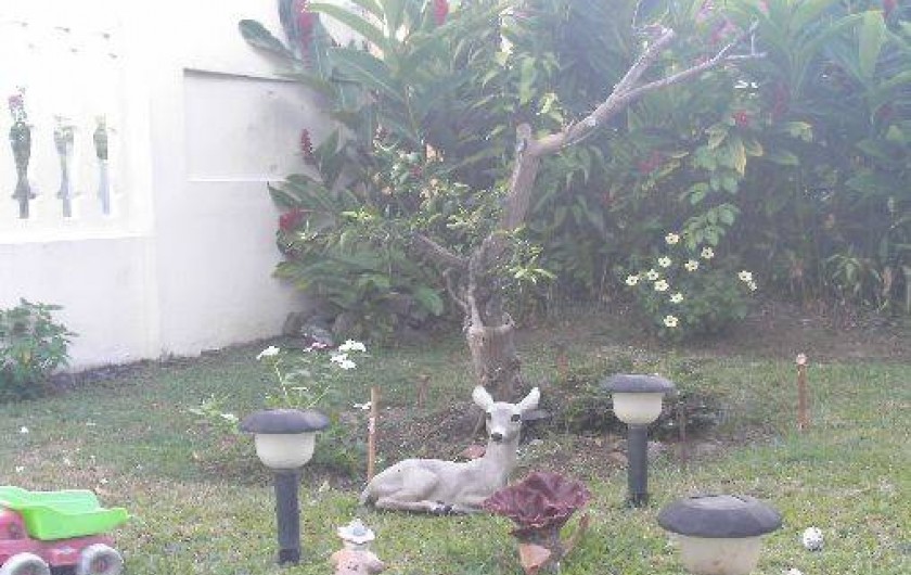 Location de vacances - Appartement à Fort-de-France