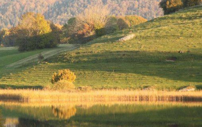 Location de vacances - Gîte à Fort-du-Plasne