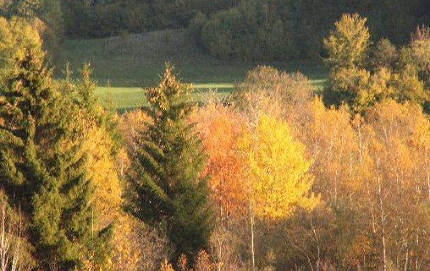 Location de vacances - Gîte à Fort-du-Plasne