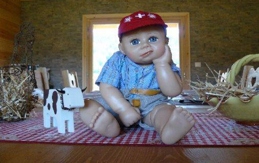 Location de vacances - Chambre d'hôtes à La Chaux