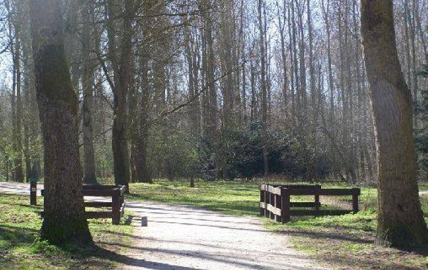 Location de vacances - Appartement à Coudekerque-Village