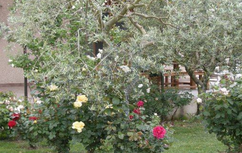 Location de vacances - Gîte à Pernes-les-Fontaines