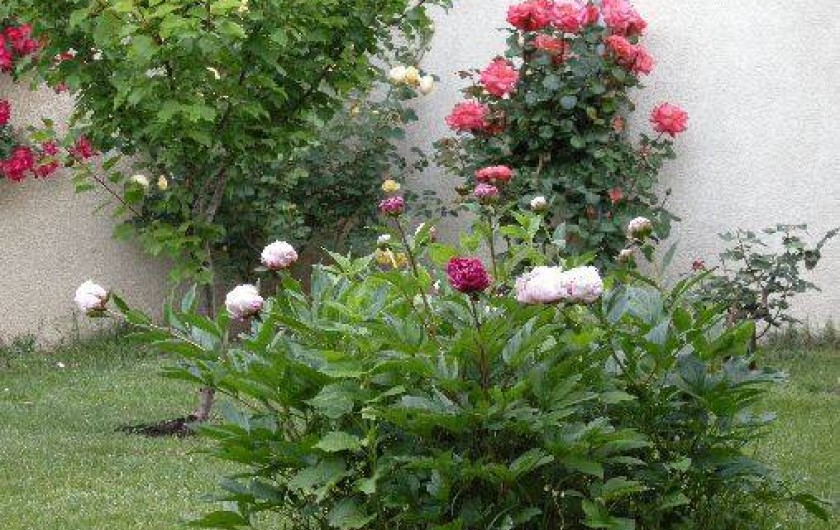 Location de vacances - Gîte à Pernes-les-Fontaines