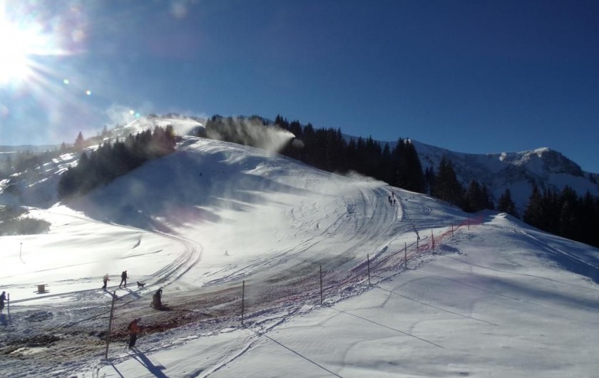 Location de vacances - Appartement à Samoëns