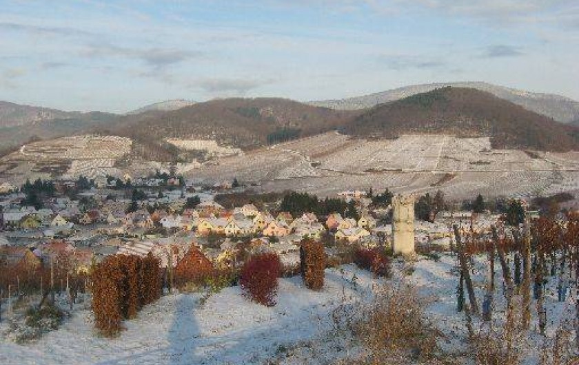 Location de vacances - Gîte à Andlau
