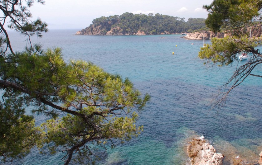 Location de vacances - Chambre d'hôtes à Cuers - la mer et les iles d'or à quelques kilométres