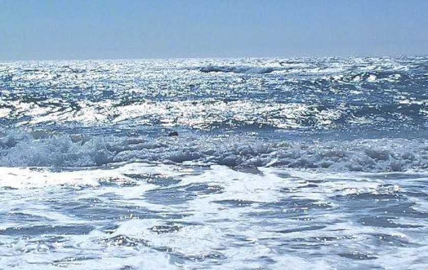 Location de vacances - Maison - Villa à Arvert