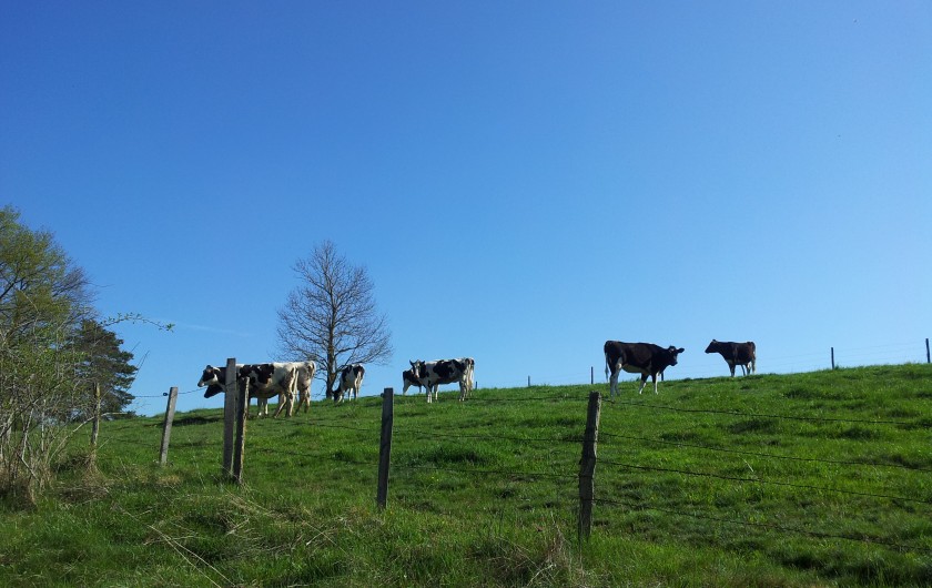 Location de vacances - Gîte à Beauzac