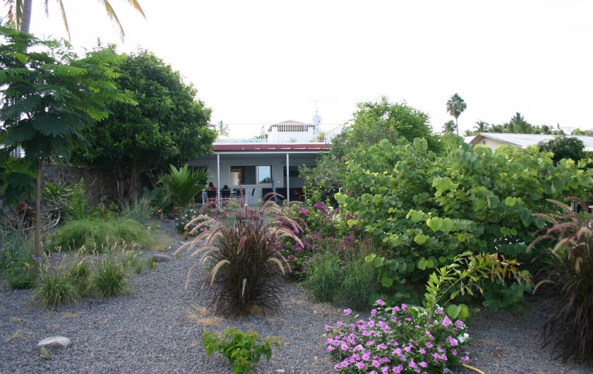 Location de vacances - Villa à Saint-Gilles les Bains - Le jardin tropical