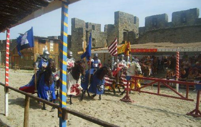 Location de vacances - Camping à Carlipa