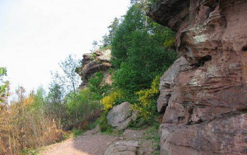 Location de vacances - Gîte à Dabo