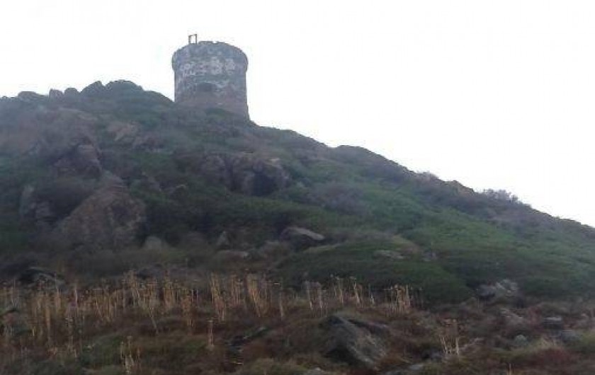 Location de vacances - Villa à Propriano