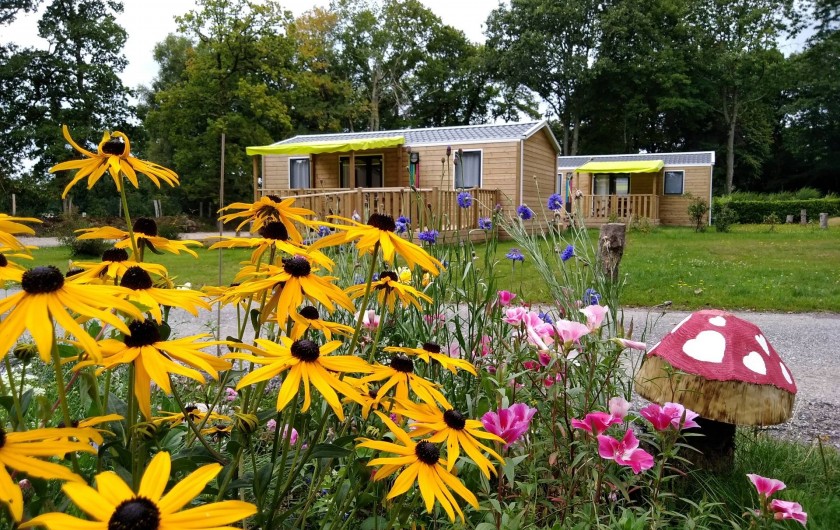 Location de vacances - Bungalow - Mobilhome à Priziac - mobilhomes 2 à 4 chambres camping le lac o fees camping nature