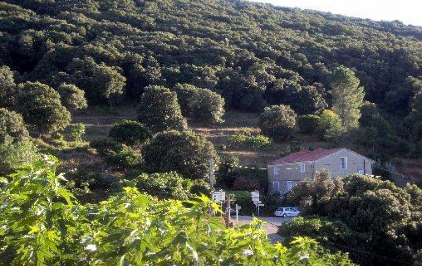 Location de vacances - Appartement à Belvédère-Campomoro