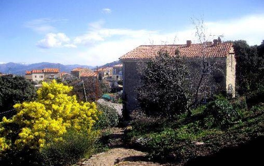 Location de vacances - Appartement à Belvédère-Campomoro