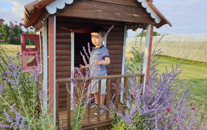 Location de vacances - Gîte à Lafrançaise - Les enfants adorent la petite maison bois.