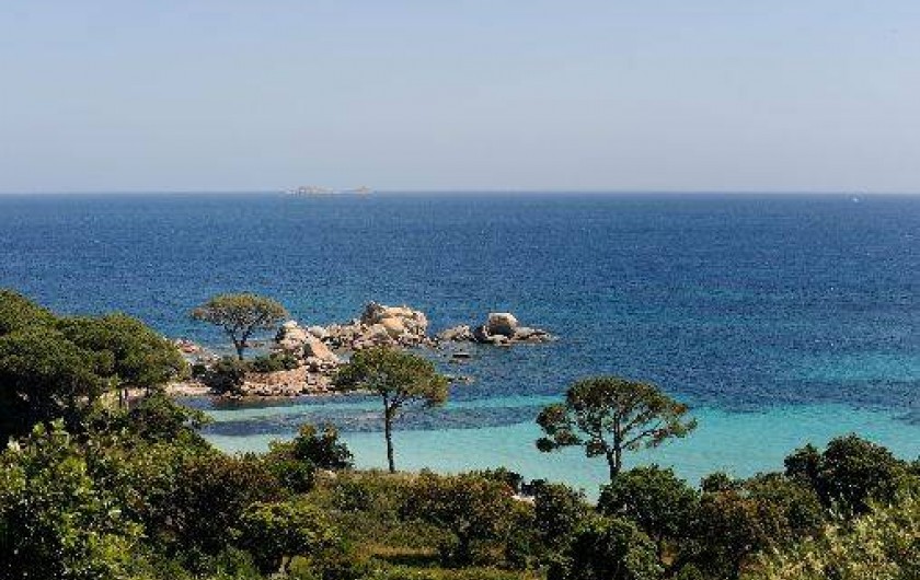 Location de vacances - Maison - Villa à Porto-Vecchio