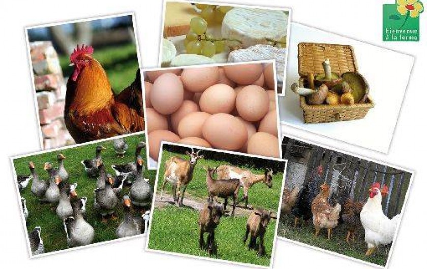 Location de vacances - Chambre d'hôtes à Évaux-les-Bains