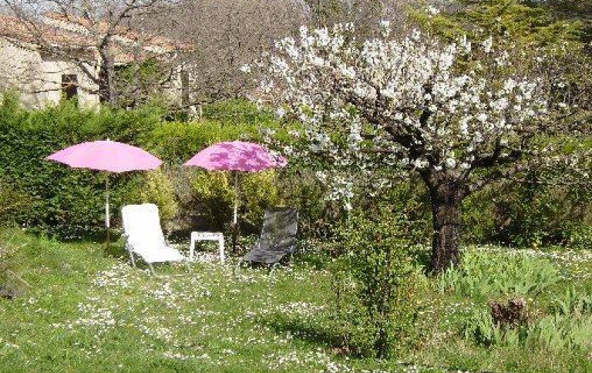 Location de vacances - Chambre d'hôtes à Saint-Martin-de-la-Brasque