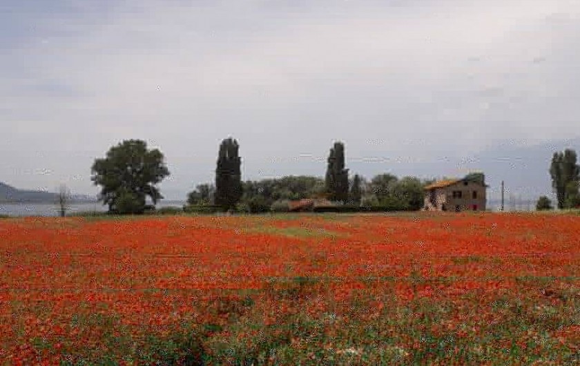 Location de vacances - Appartement à Castel Rigone - Sur le lac Trasimène