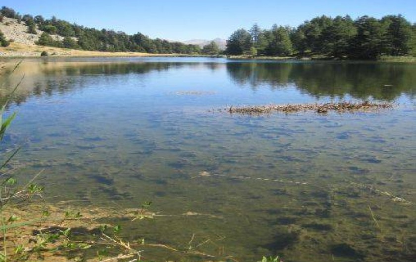 Location de vacances - Chalet à Montclar