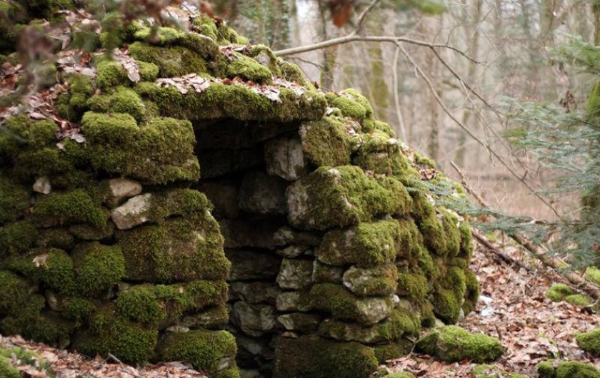 Location de vacances - Gîte à Chantraines - Cabane en pierre à 2 km du gîte