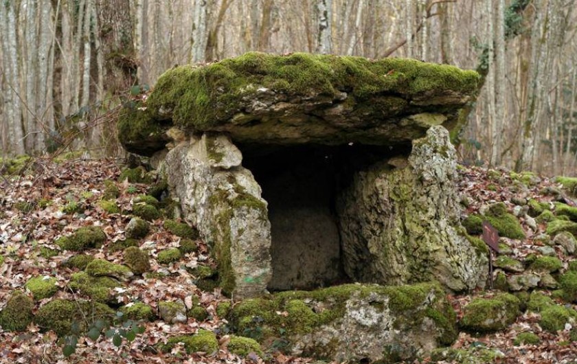 Location de vacances - Gîte à Chantraines - Dolmen à 2,5 km du gîte