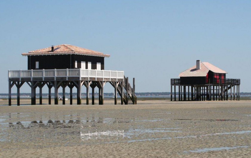 Location de vacances - Gîte à Gornac - BASSIN ARCACHON