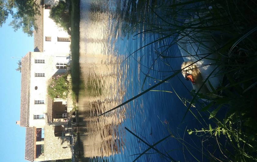 Location de vacances - Gîte à Saint-Paul-les-Fonts