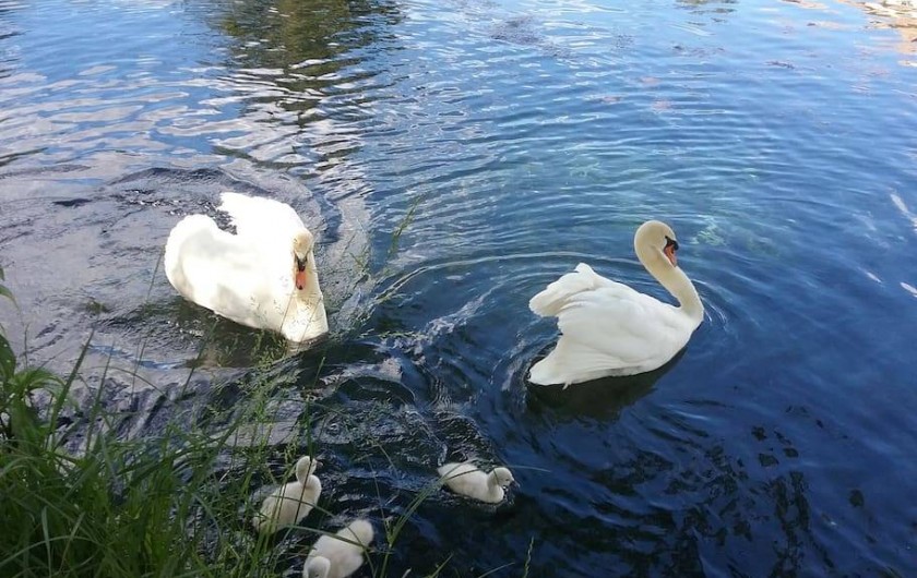 Location de vacances - Gîte à Saint-Paul-les-Fonts