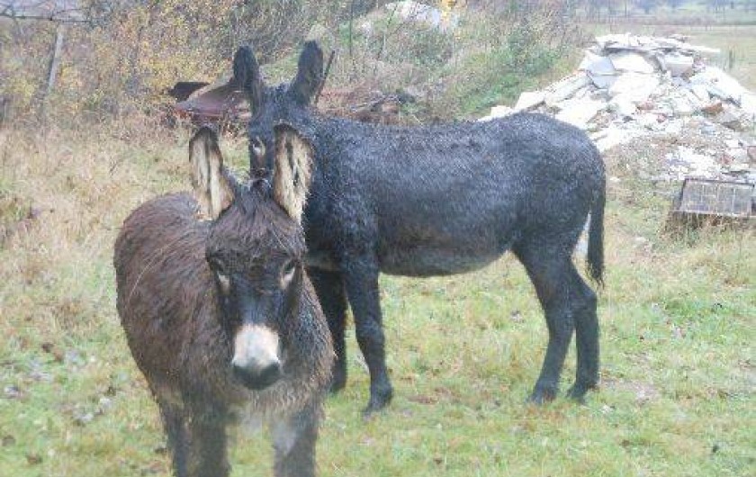 Location de vacances - Gîte à Saint-Romain-d'Ay
