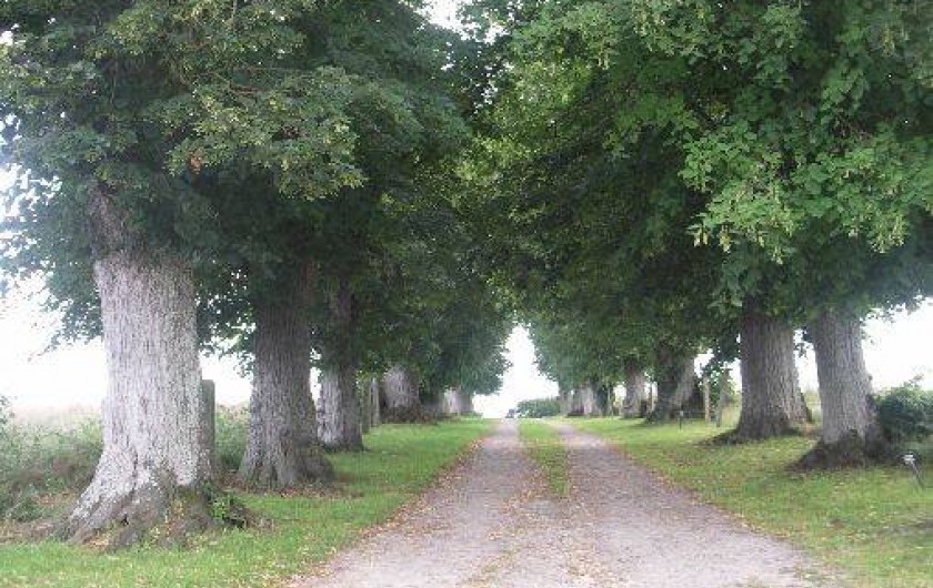 Location de vacances - Chambre d'hôtes à Argentan