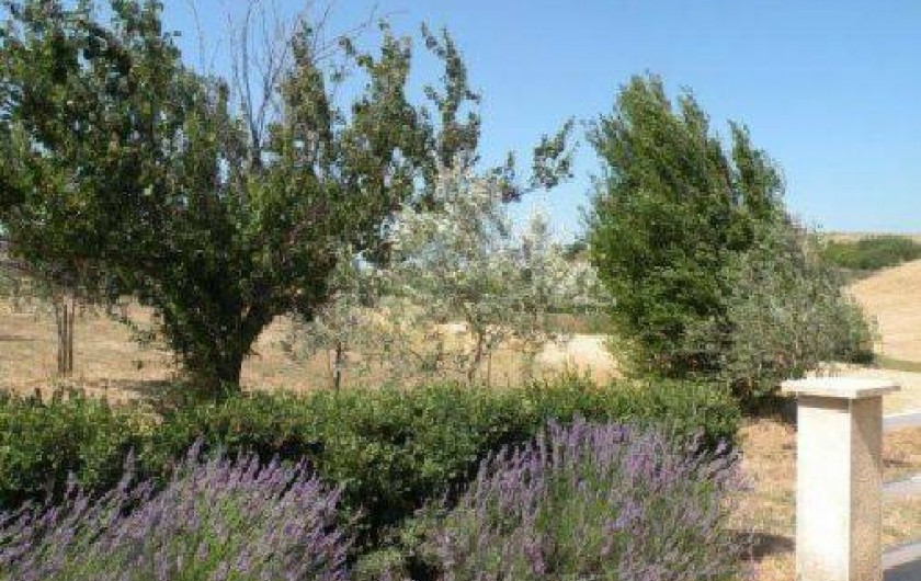 Location de vacances - Mas à Vallon-Pont-d'Arc