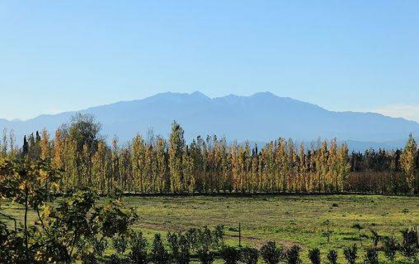 Location de vacances - Chambre d'hôtes à Saint-Génis-des-Fontaines