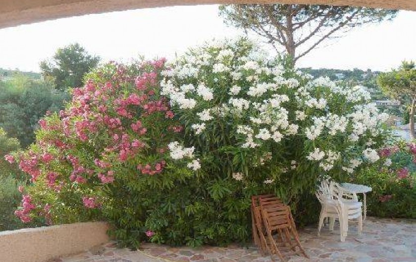 Location de vacances - Villa à Les Issambres