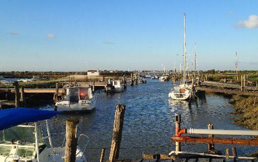 Location de vacances - Villa à La Couarde-sur-Mer