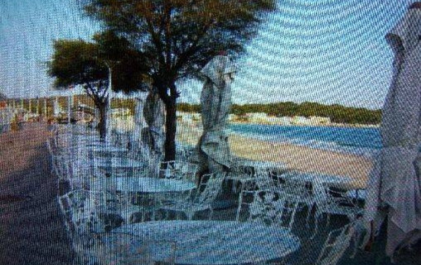 Location de vacances - Appartement à La Seyne-sur-Mer