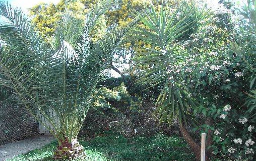 Location de vacances - Appartement à La Seyne-sur-Mer